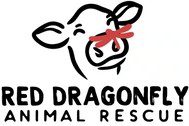 Red Dragon Animal Rescue